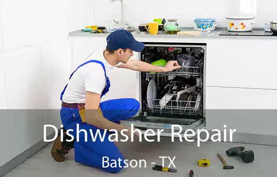  Dishwasher Repair Batson - TX