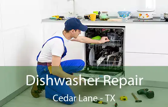  Dishwasher Repair Cedar Lane - TX