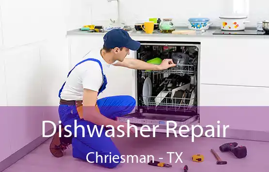  Dishwasher Repair Chriesman - TX