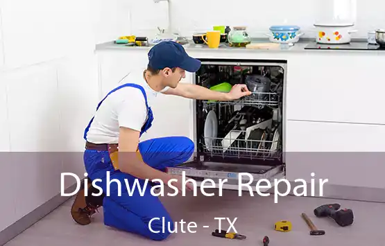  Dishwasher Repair Clute - TX