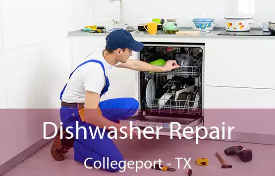  Dishwasher Repair Collegeport - TX