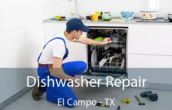 Dishwasher Repair El Campo - TX