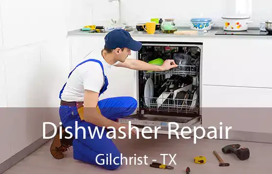  Dishwasher Repair Gilchrist - TX