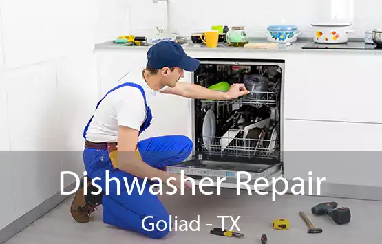  Dishwasher Repair Goliad - TX