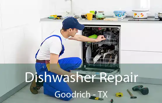  Dishwasher Repair Goodrich - TX