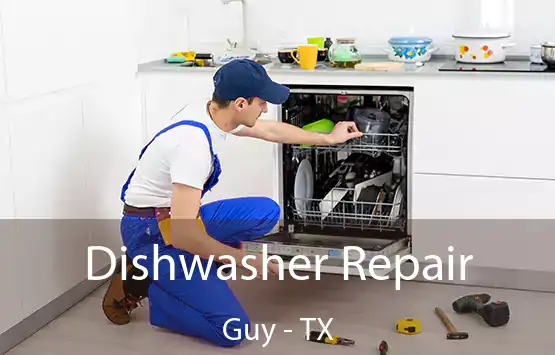  Dishwasher Repair Guy - TX
