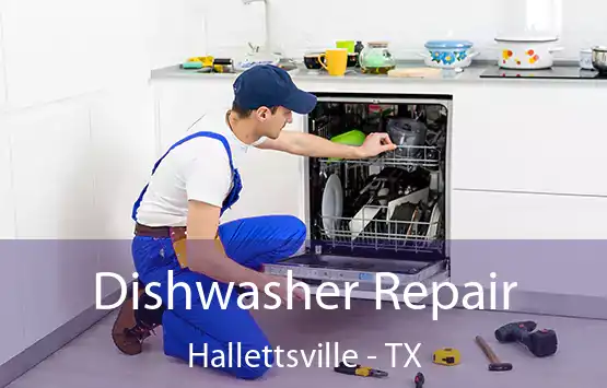  Dishwasher Repair Hallettsville - TX