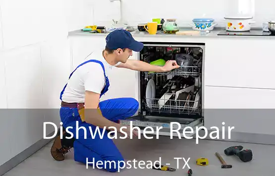  Dishwasher Repair Hempstead - TX