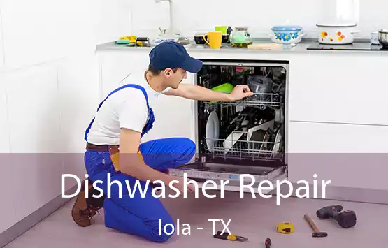  Dishwasher Repair Iola - TX