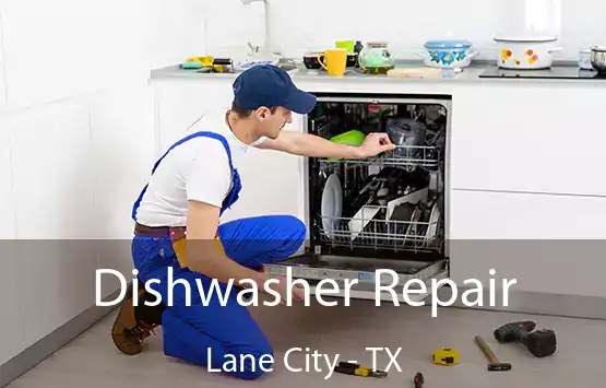  Dishwasher Repair Lane City - TX