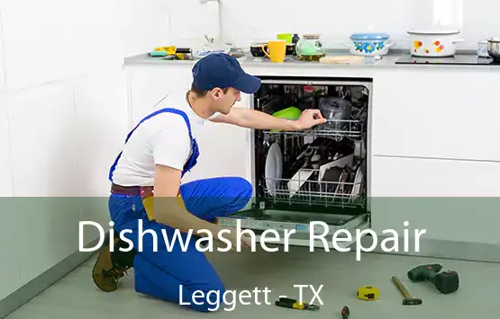  Dishwasher Repair Leggett - TX