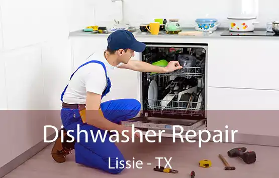  Dishwasher Repair Lissie - TX