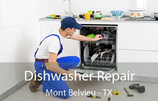  Dishwasher Repair Mont Belvieu - TX