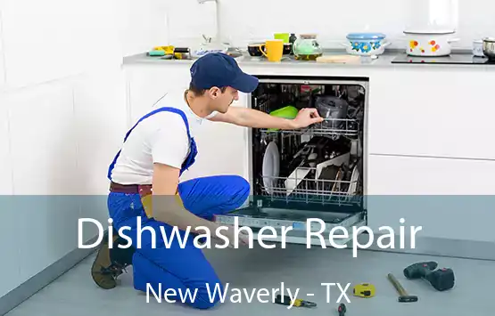  Dishwasher Repair New Waverly - TX