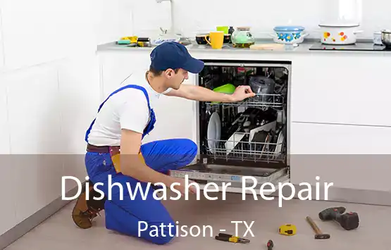  Dishwasher Repair Pattison - TX