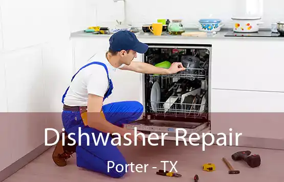  Dishwasher Repair Porter - TX