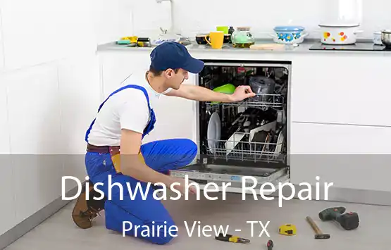  Dishwasher Repair Prairie View - TX