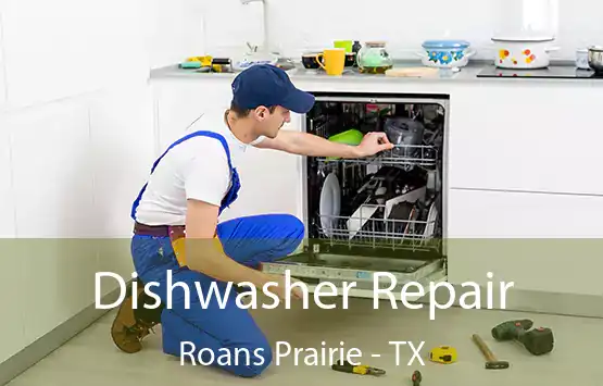  Dishwasher Repair Roans Prairie - TX