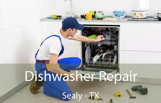 Dishwasher Repair Sealy - TX