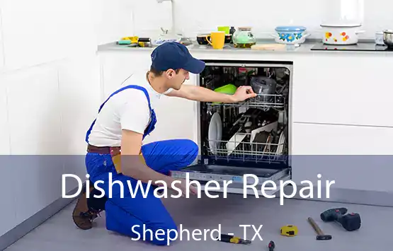  Dishwasher Repair Shepherd - TX