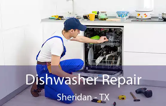  Dishwasher Repair Sheridan - TX