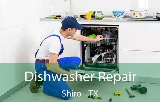  Dishwasher Repair Shiro - TX