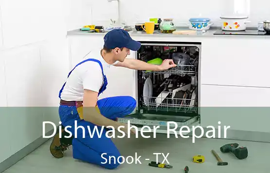  Dishwasher Repair Snook - TX