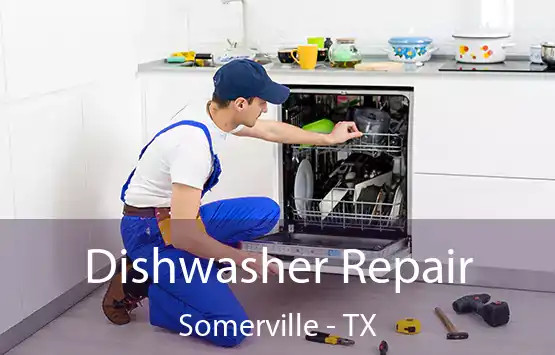  Dishwasher Repair Somerville - TX