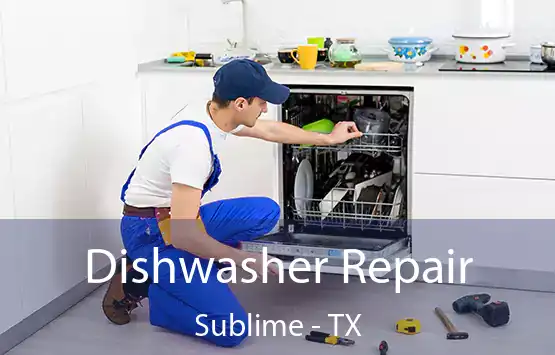  Dishwasher Repair Sublime - TX