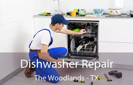  Dishwasher Repair The Woodlands - TX
