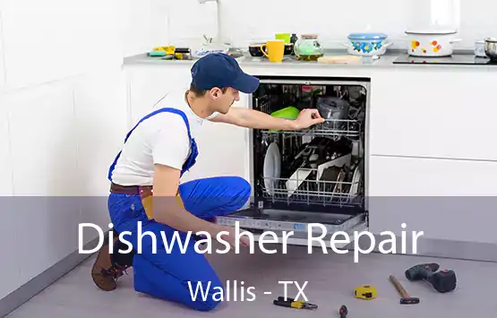  Dishwasher Repair Wallis - TX