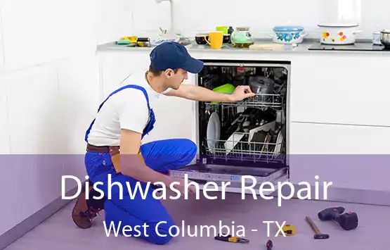  Dishwasher Repair West Columbia - TX