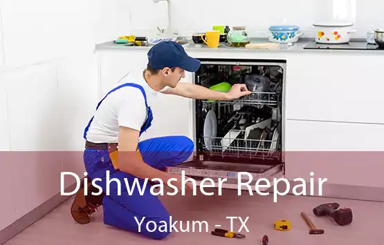  Dishwasher Repair Yoakum - TX