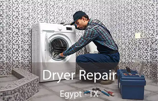  Dryer Repair Egypt - TX