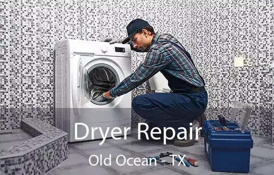 Dryer Repair Old Ocean - TX