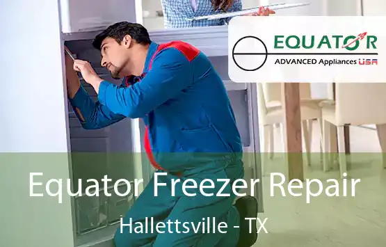  Equator Freezer Repair Hallettsville - TX