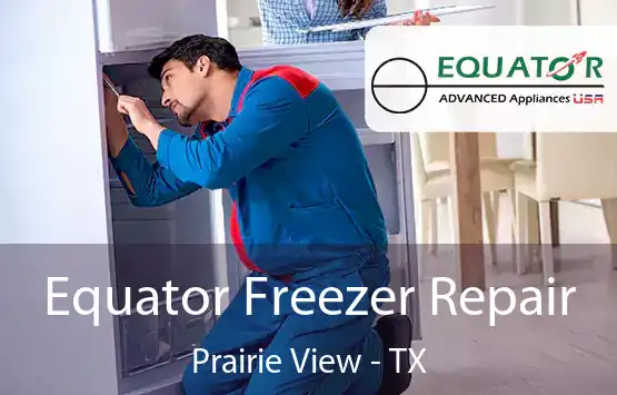  Equator Freezer Repair Prairie View - TX
