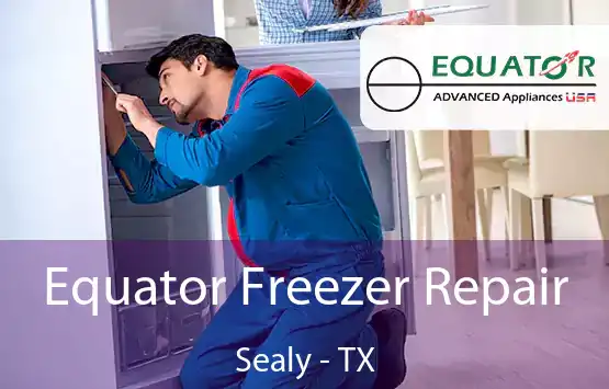  Equator Freezer Repair Sealy - TX