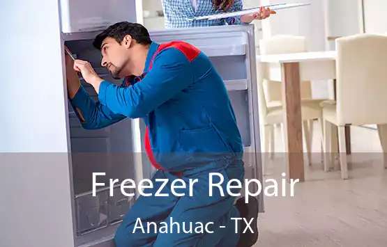  Freezer Repair Anahuac - TX