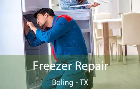  Freezer Repair Boling - TX