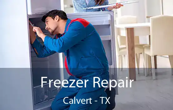  Freezer Repair Calvert - TX