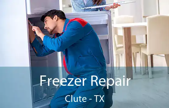  Freezer Repair Clute - TX