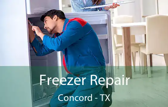  Freezer Repair Concord - TX