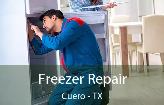  Freezer Repair Cuero - TX