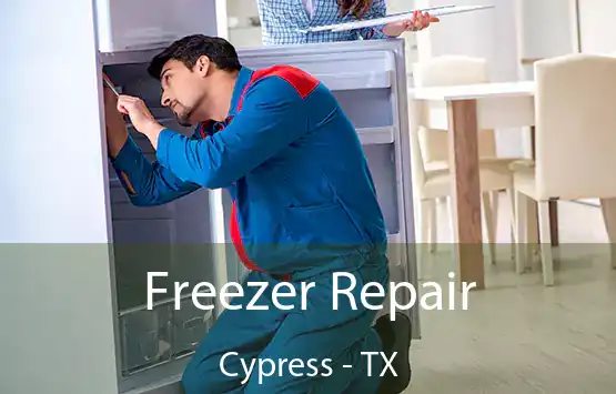  Freezer Repair Cypress - TX