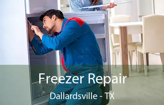  Freezer Repair Dallardsville - TX