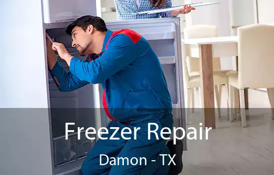  Freezer Repair Damon - TX