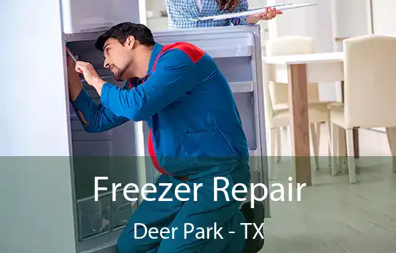  Freezer Repair Deer Park - TX