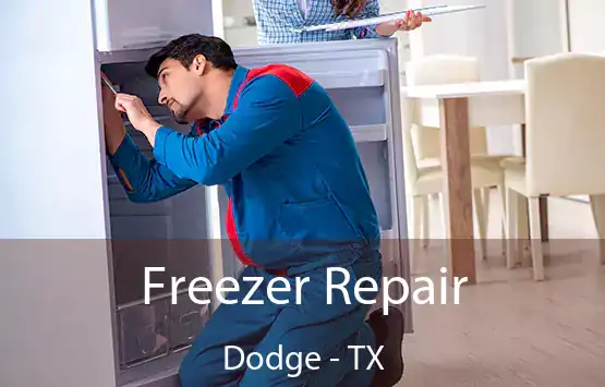  Freezer Repair Dodge - TX