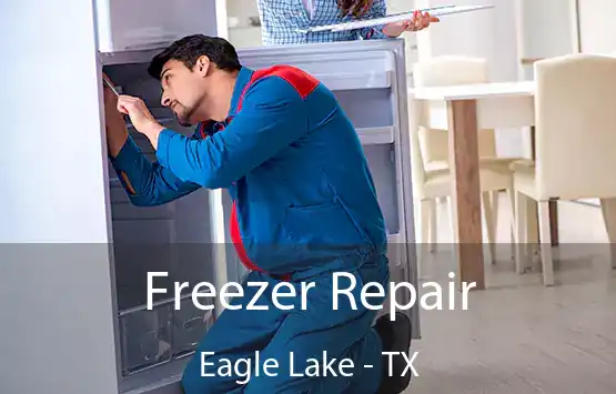  Freezer Repair Eagle Lake - TX